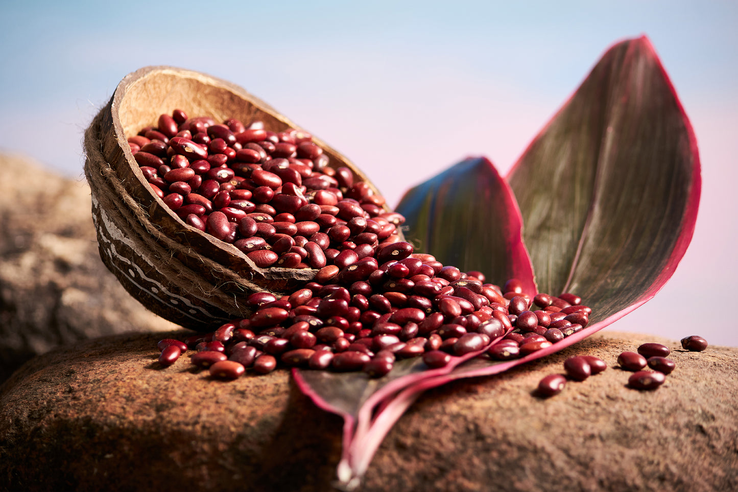 Red Rajma