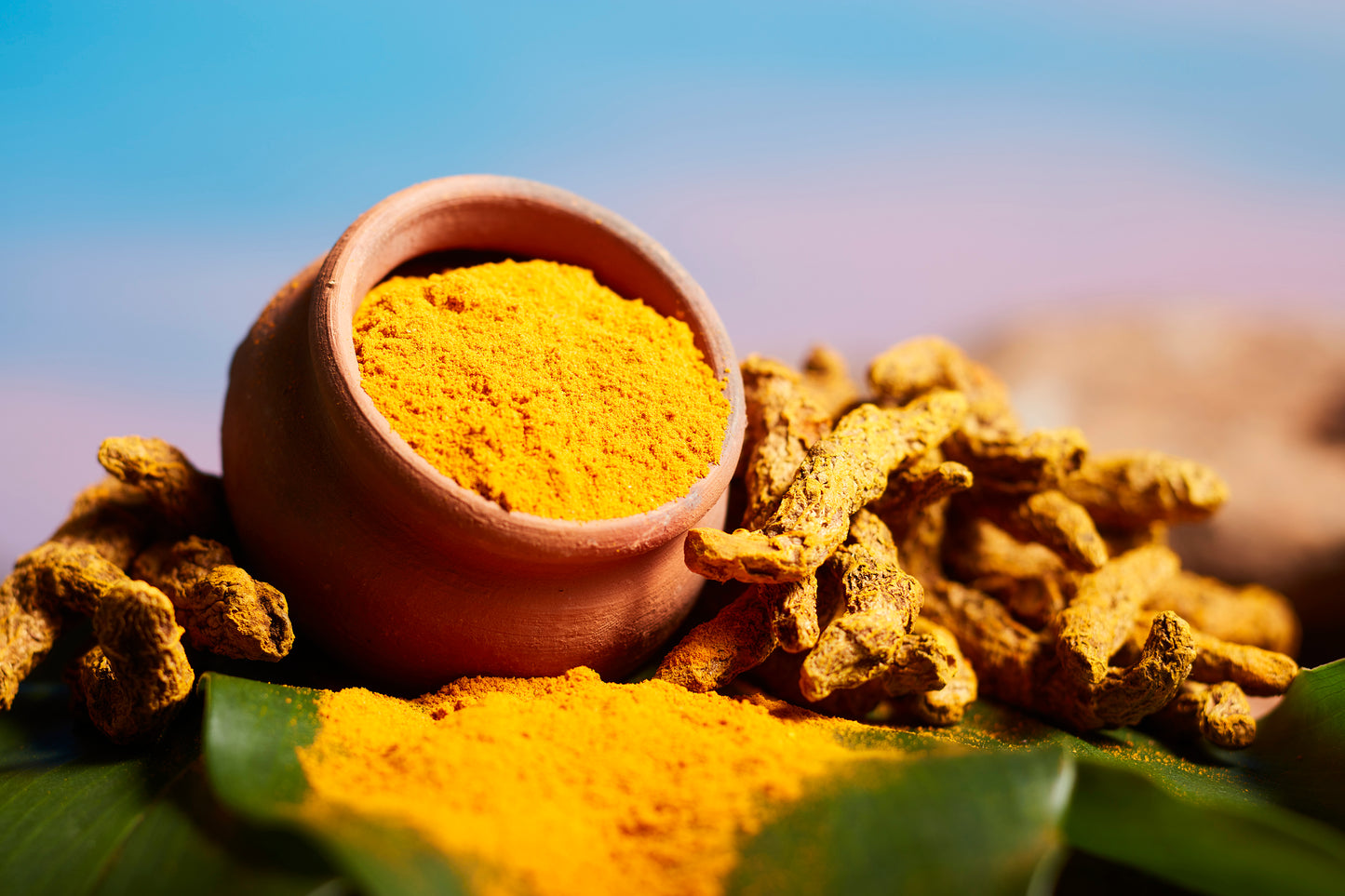 Turmeric Powder 250 gm